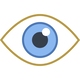 Vision Icon